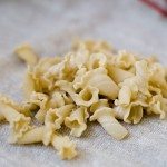 casa grande artisan pasta