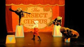 The Insect Circus