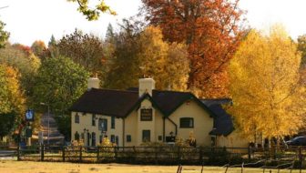 New Year's Day guided walk at Woodlands Farm