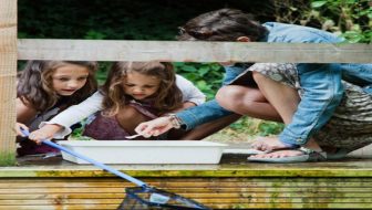 Pond Dipping at the Horniman Museum & Gardens