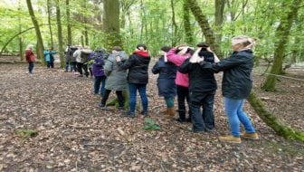 Autumn Forest School Experience