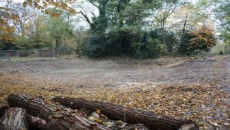 Autumn Wildlife Explorers at Woodlands Farm