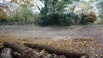 Autumn Wildlife Explorers at Woodlands Farm