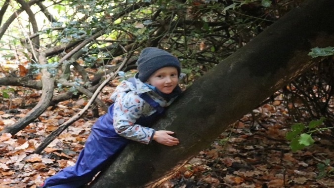 Saturday Family Forest School at Oxleas Woods