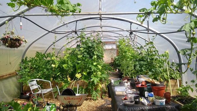 Albany Gardening Club