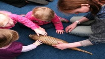 Hands on Base Horniman Explorers (October Half Term)